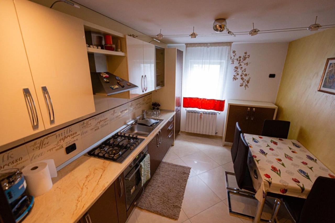 Apartament Danci. Borşa Екстериор снимка